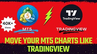How To Move Your MT5 Charts Like Tradingview | Scale Fix MT5 Chart like Tradingview screenshot 2