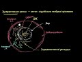 Органеллы эукариотических клеток (видео 13)| Строение клетки | Биология