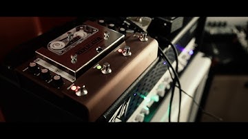 bulb - t-rex replicator