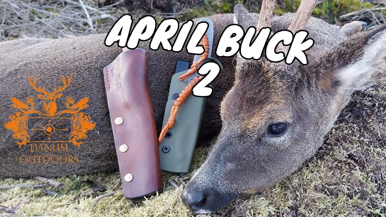April Roe Buck No.2 - YouTube