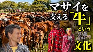 The Culture of Cattle That Sustains the Maasai #Arthur