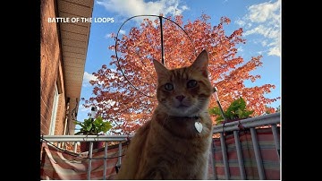 BATTLE OF THE LOOPS CFRX 6070 kHz Shortwave W6LVP VS MLA 30 Antenna TEST