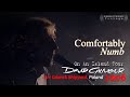 David Gilmour - Comfortably Numb | REMASTERED | Gdansk, Poland - August 26th, 2006 | Subs SPA-ENG