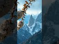 beauty of laila peak hunza valley #trending #nature #explorenow#travel #viral#millions #amazingsight