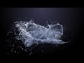 Water Splash Logo Reveal Animation
