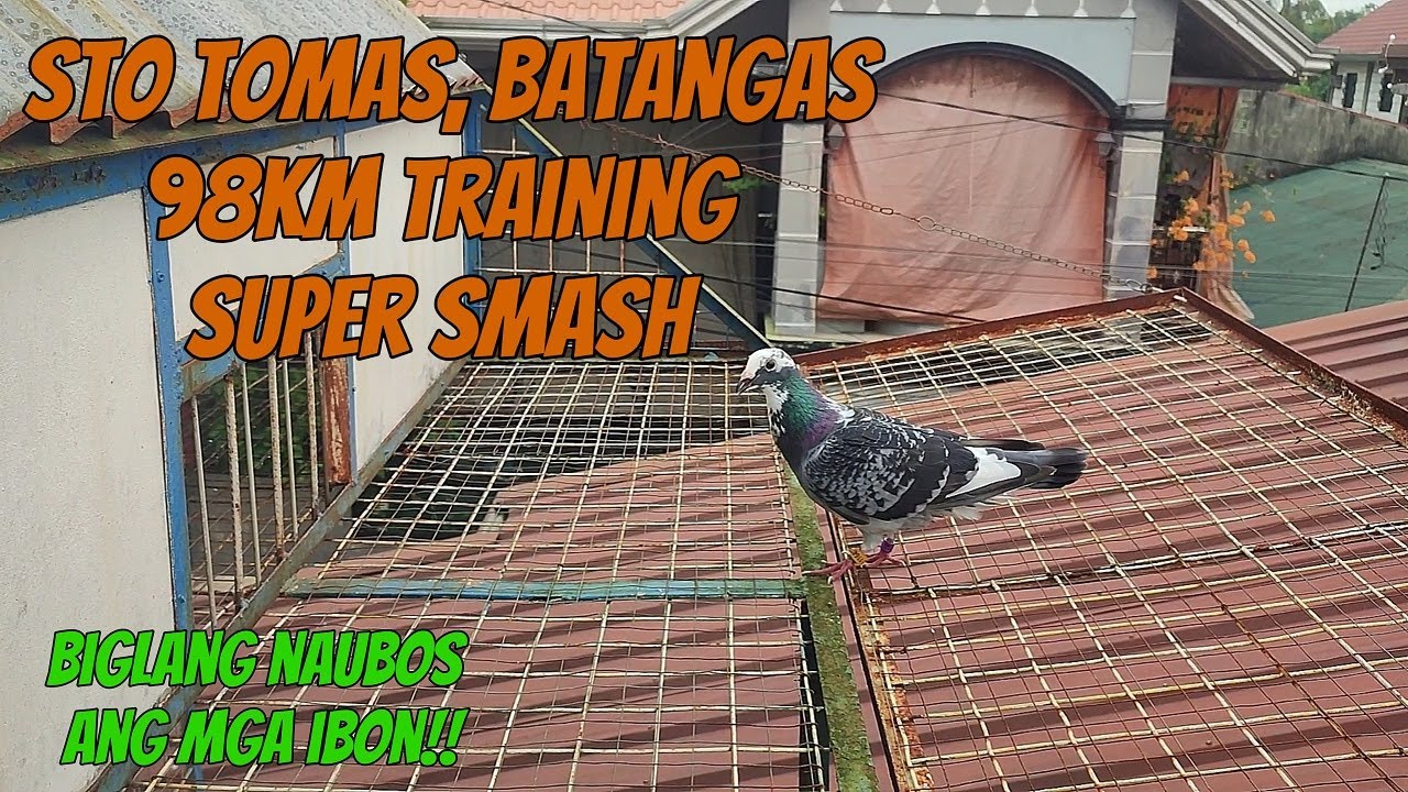 STO TOMAS BATANGAS SMASH TRAINING BIGLANG NAGKAUBUSAN NG IBON