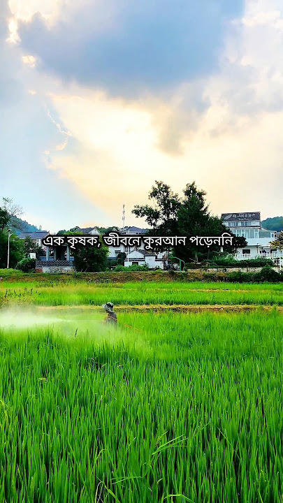 “এক কৃষক সকালে উঠে দেখল… পুরো কুরআন মুখস্থ! 😱 | Quran Miracle Story #QuranMiracle #Tafakkur”