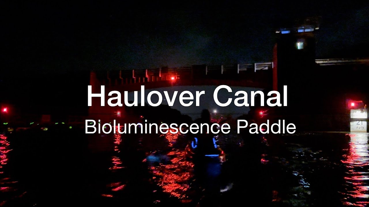 Haulover Canal Bioluminescence Paddle YouTube