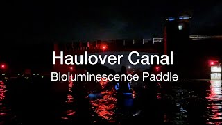 Haulover Canal Bioluminescence Paddle