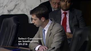June 28, 2017: Sen. Cotton Q&A at Senate Intel Hearing on Russian Intervention in European Elections Net Worth