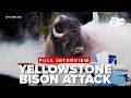 Photographer recounts chaos when a bison catapults a grandfather, sending him feet into the air