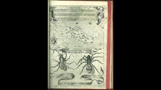 Baroque Arabesque   Athanasius Kircher:  Antidotum Tarantulae   Tarantella 'Modo Hypodorico'