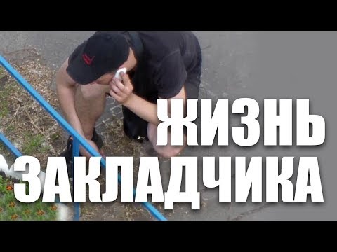 Последствия работы закладчиком | Страшная правда