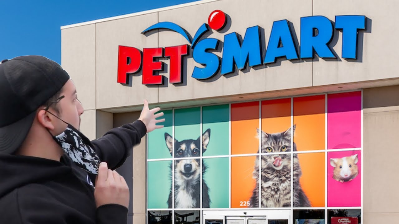 Donating To An Animal Shelter  🐶💙