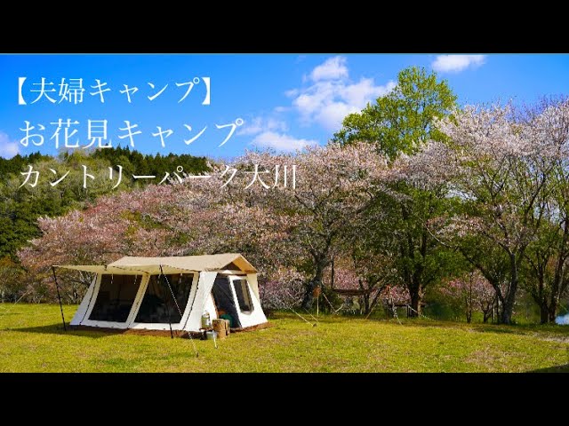 夫婦キャンプ お花見キャンプ 桜キャンプ カントリーパーク大川 春キャンプ Vlog Cherry Blossom Camping Toyota Hiace Youtube 夫婦キャンプ お花見キャンプ 桜キャンプ カントリーパーク大川 春キャンプ Vlog Cherry Blossom Camping Toyota Hiace Youtube