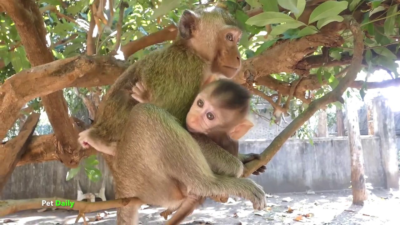 Keyla became a step mum after Kayoy missed look so poor