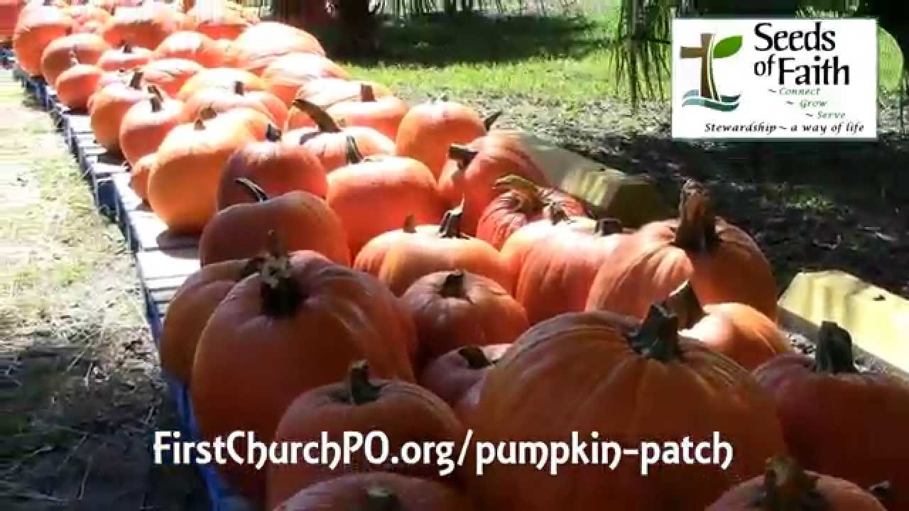 The Great Pumpkin Patch is back at First United Methodist Church