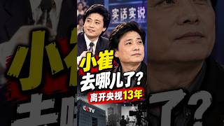 崔永元后来呢？离开央视13年，“小崔”到底去哪儿了？