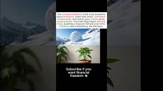 The Compound Effect Explained: How Small Investments Build Massive Wealth  #personalfinance #money