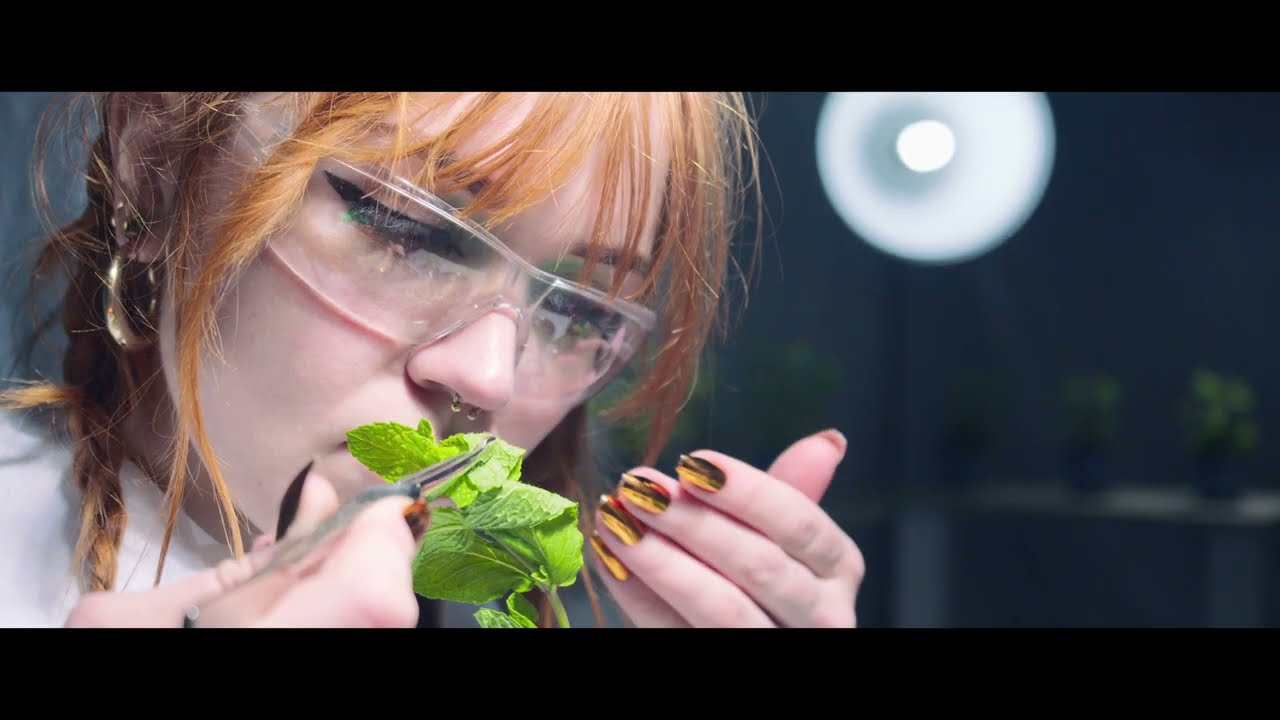 Watch BERLINER LUFT (Official Music Video) / Folge 2 on YouTube Watch BERLINER LUFT (Official Music Video) / Folge 2 on YouTube