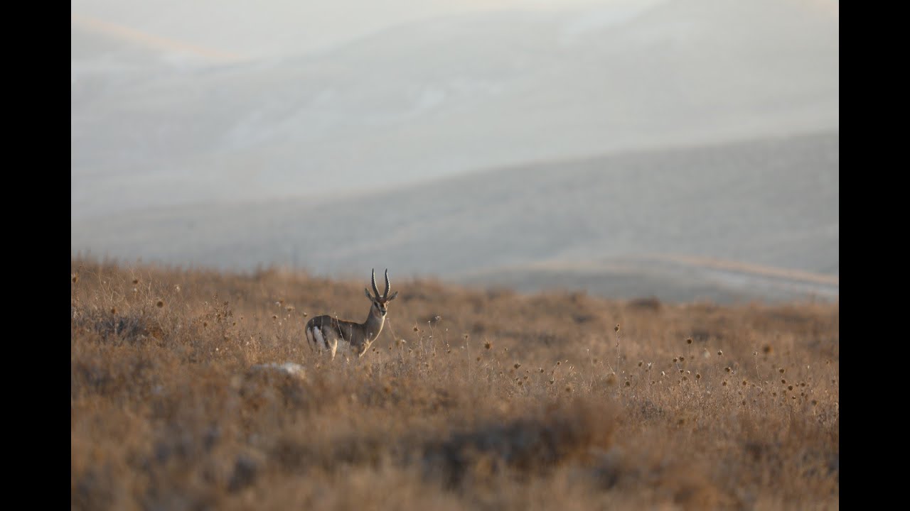 Reflexión desde el Evangelio de hoy con un texto de Teresa de Jesús - Martes 13 de enero de 2026
