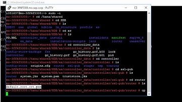 SAP HANA Academy   XS Advanced  Connect to Server Runtime
