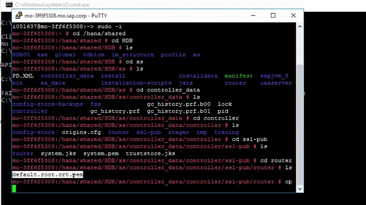 SAP HANA Academy   XS Advanced  Connect to Server Runtime