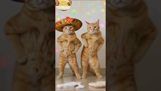Real friends dance through life together #heartwarming #animalmoralstories #friendship