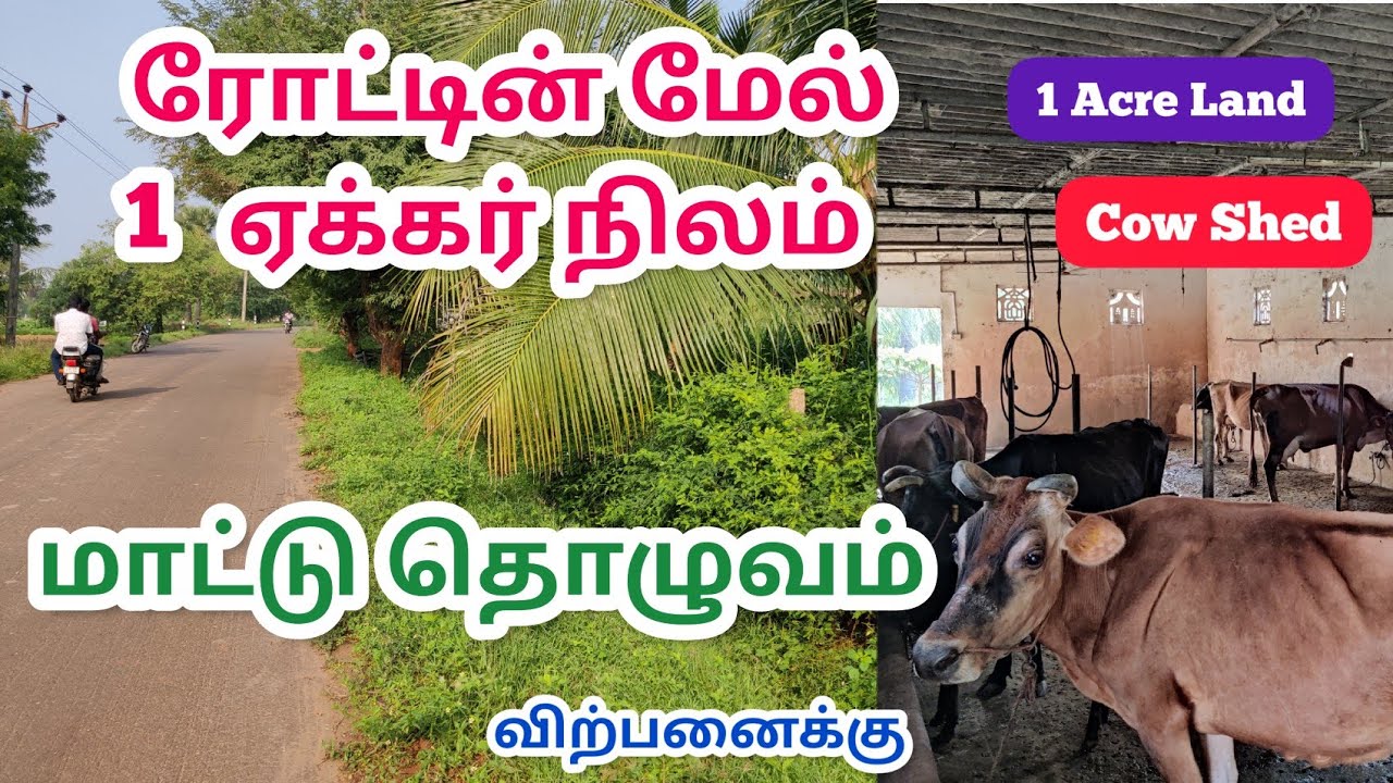 ரோட்டின் மேல் 1 ஏக்கர் நிலம் மற்றும் மாட்டு தொழுவம் விற்பனைக்கு 1 Acre