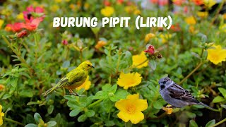 Burung Pipit (Lirik) 🙏 | Lagu Rohani Kristen