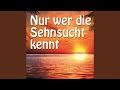 Miniature de la vidéo de la chanson Sehnsucht Ist Mehr...