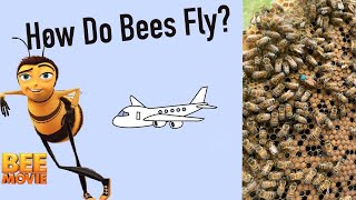 The Bee Movie | How Do The Bees Fly | According To All Know Laws of Aviation