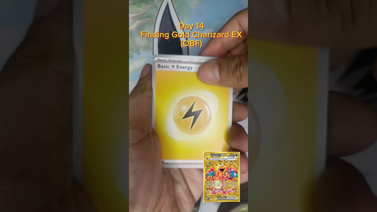 Day 14- Finding GOLD Charizard EX (OBF) 