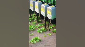 Vegetable weeding equipment- Good tools and machinery make work easy