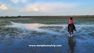 Safari in Los Llanos Orientales, Colombia