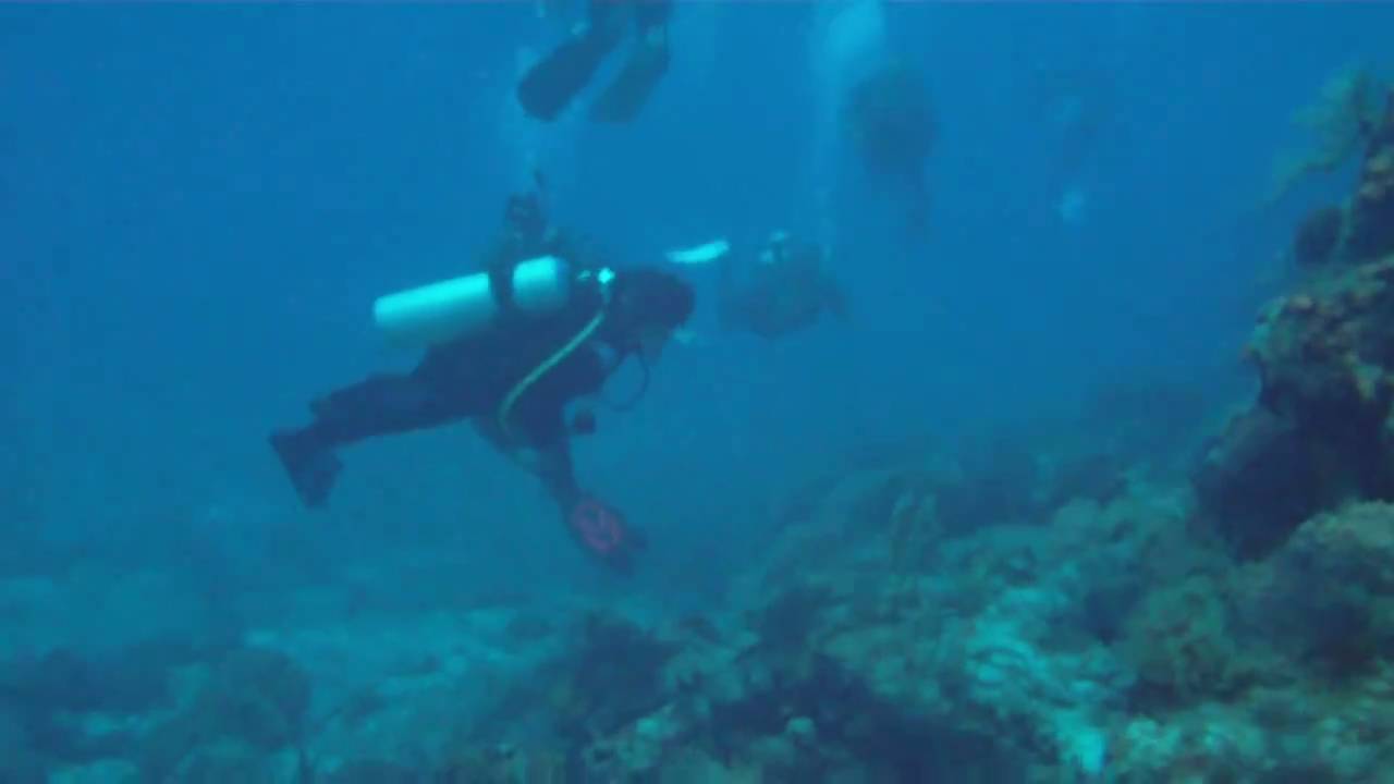 Diving Cozumel's La Francesa Reef - Fast Currents