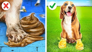 RICH PETS VS BROKE PETS || Viral Gadgets & Funny DIY Hacks For Cats & Dogs By 123 GO! TRENDS