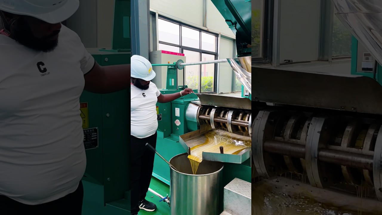 Kenya customer come to Qifeng oil press machine factory for sunflower oil project 