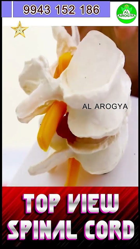 Back Pain Reason Disc Bulge Exercise discbulge discbuldge YouTube back-pain-reason-disc-bulge-exercise-discbulge-discbuldge-youtube