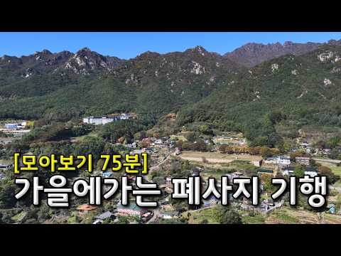 [모아보기 75분] 가을에가는 폐사지 여행