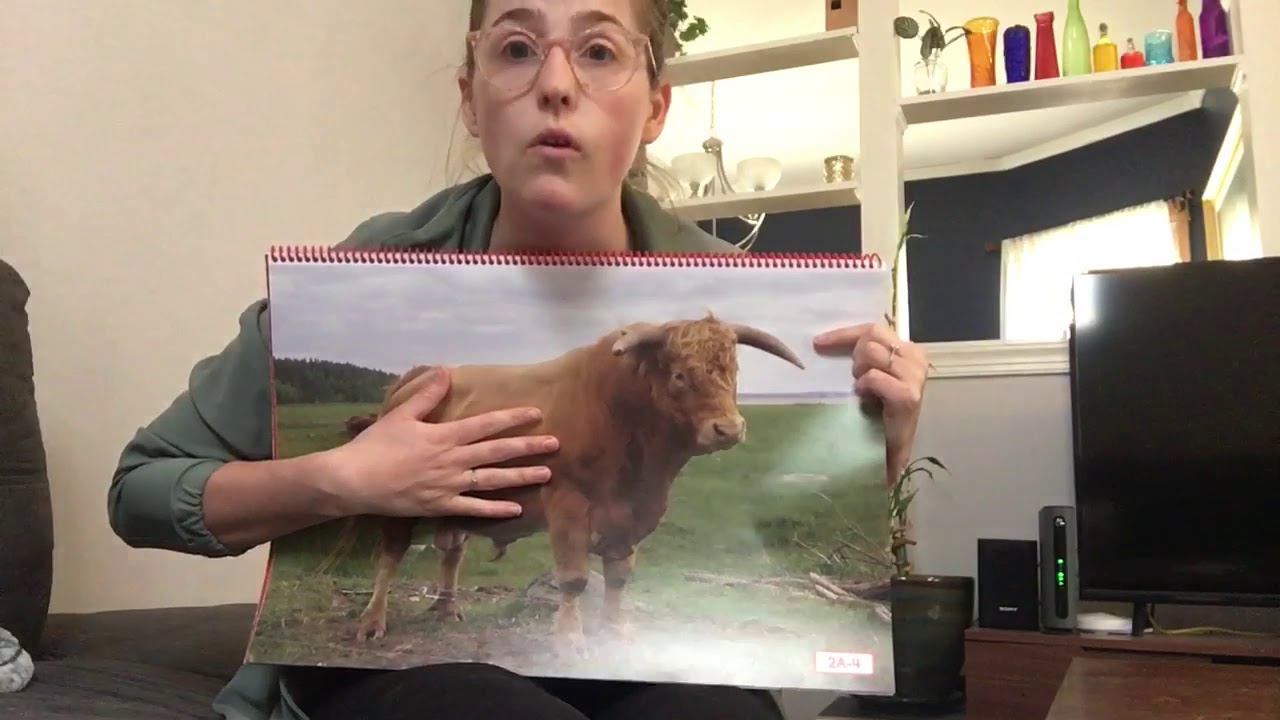 Piccolo Kindergarten Farm Lesson 2 YouTube