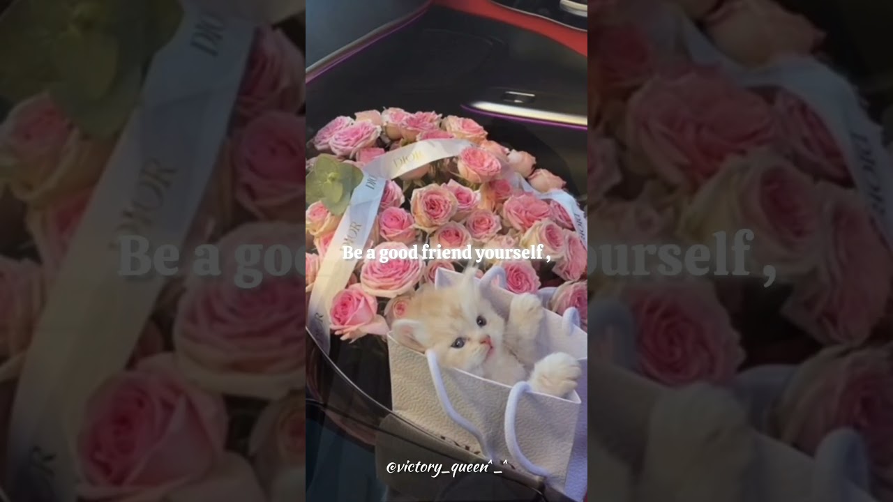 Be careful when you choose your friend