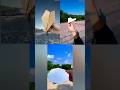 the best paper airplane unique plane style airplane #shorts