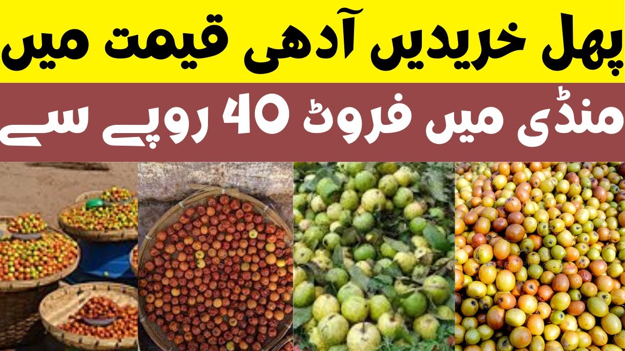 Karachi Ki Sub See Bari Wholesale Fruit Mandi at Super Highway Karachi