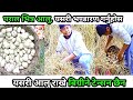 तराई गाउँमा यसरी आलु राख्ने प्रचलन थियोे॥ यसरी आलु 100% सुरक्षित रहन्छ ॥#tharu #technology