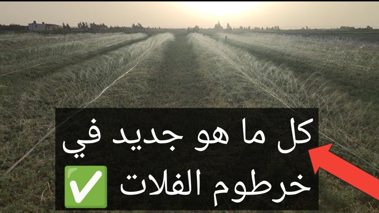 خرطوم الفلات بطريقه وشكل جديد علي البرسيم، والنتيجه روعه بعد التشغيل، ما شاءلله، 01012722430