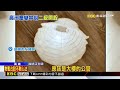 高雄日夜都下雨！仁武淹水 大車都得小心開@newsebc