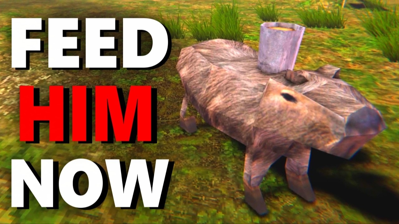 FEED THE CAPYBARA!!!!