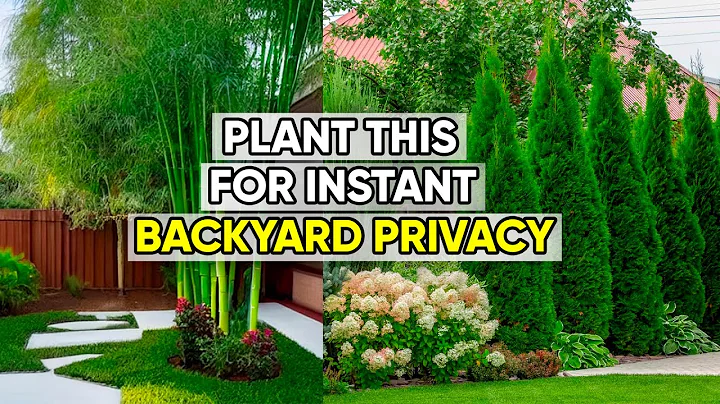 Want Privacy? Plant These 5 Trees in Your Yard!