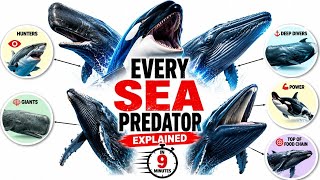 Every Sea PREDATOR explained in 9 Minutes